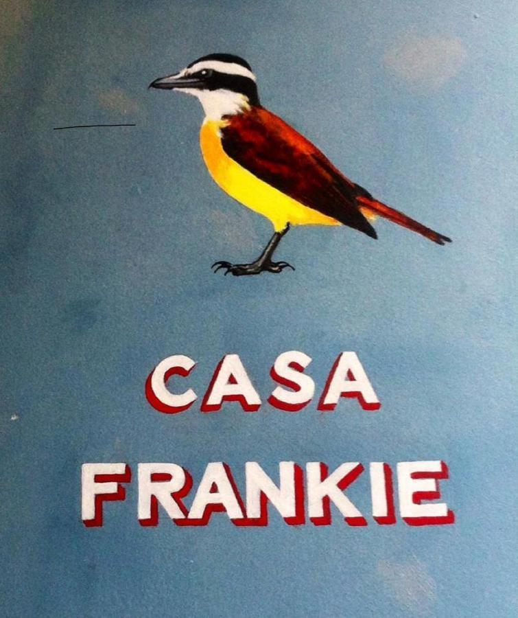 Готель Casa Frankie Сан-Луїс Екстер'єр фото